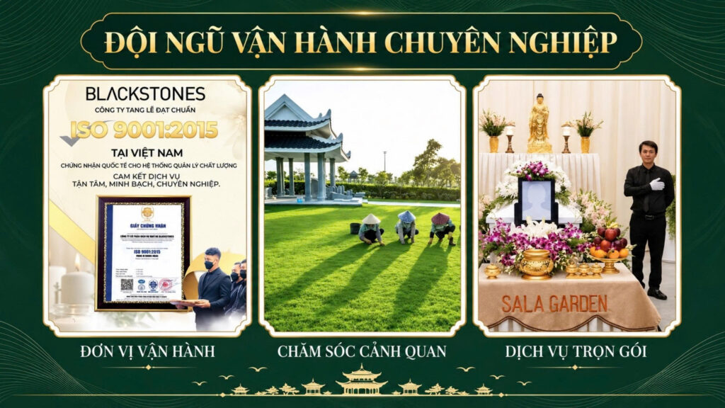 Dịch vụ chăm sóc chuyên nghiệp